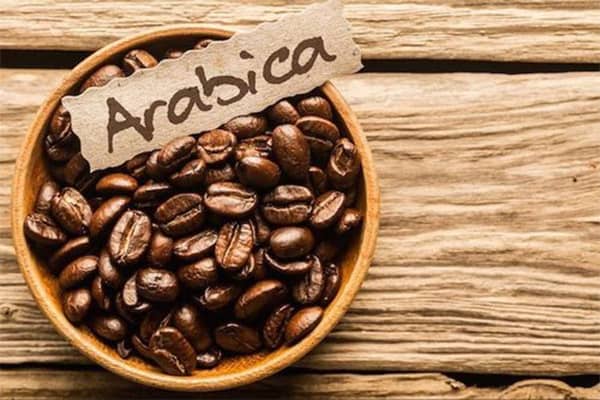 دانه‌های قهوه عربیکا