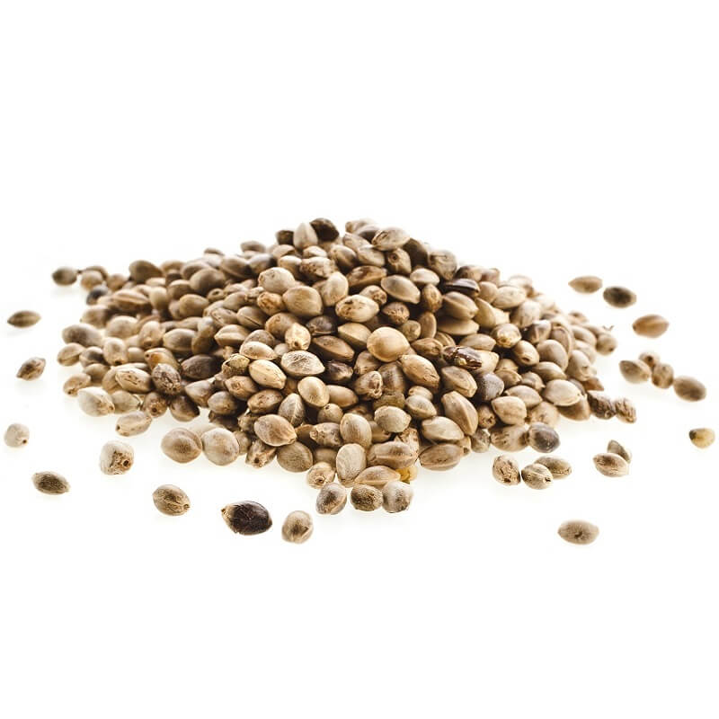 تخمه شاهدانه بوداده