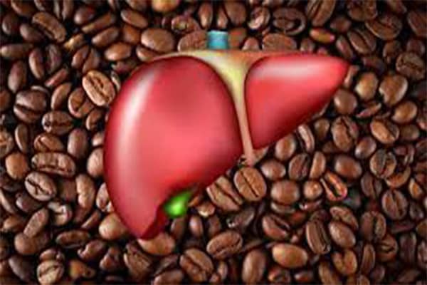 مزایای قهوه در پیش‌گیری از بیماری کبد