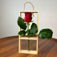 تک شاخه گل رز قرمز
