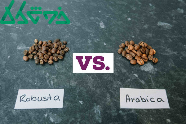 مقایسه قهوه عربیکا و روبوستا