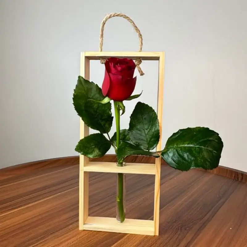 تک شاخه گل رز قرمز