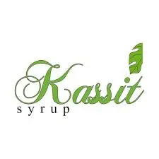 کاسیت