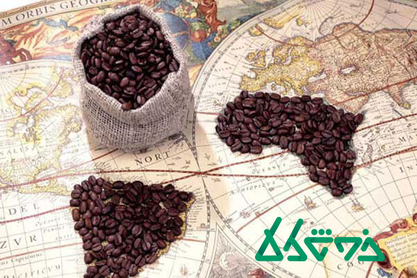 اولین کشور تولید قهوه